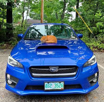 2015 Subaru WRX - WRX Limited Sedan 4D