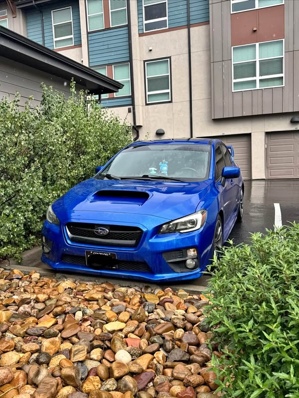 2016 Subaru WRX
