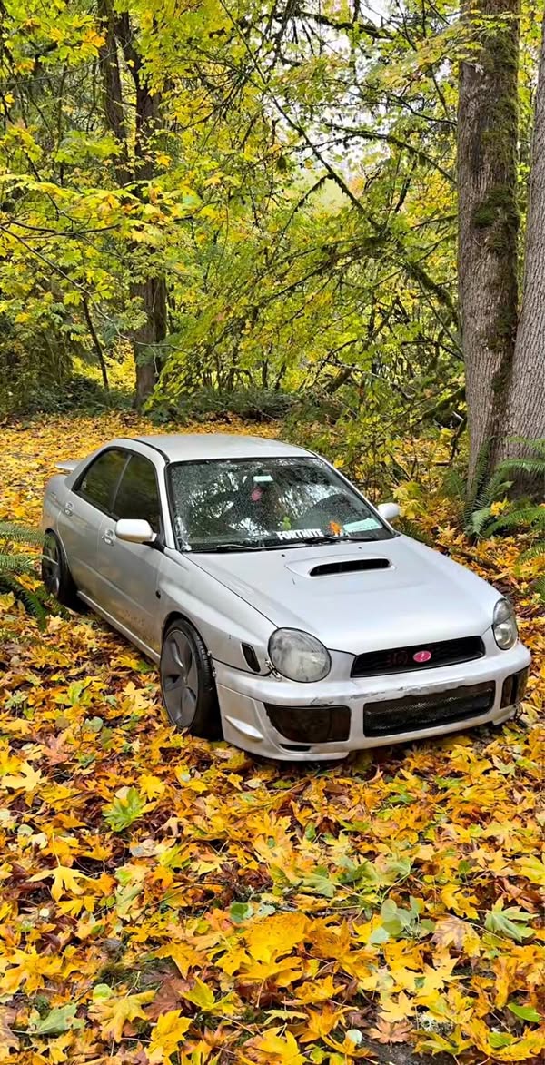 2002 Subaru WRX - WRX Sedan 4D