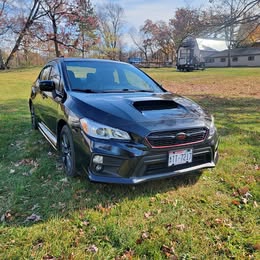 2019 Subaru Wrx