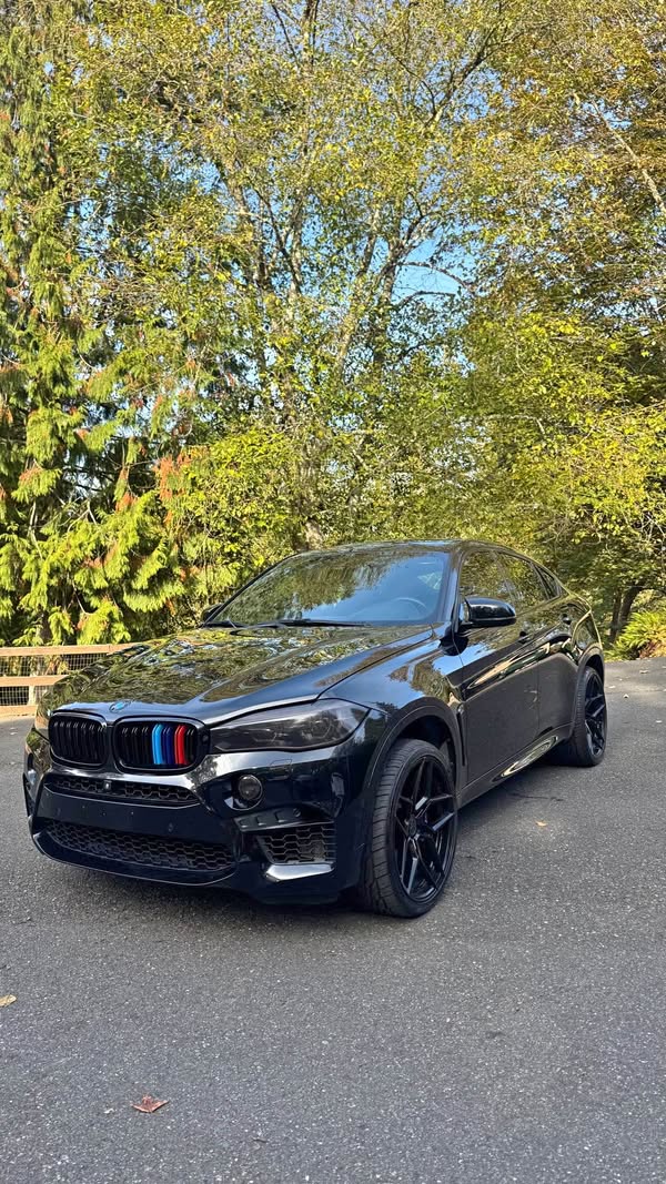 2017 BMW X6 - X6 M