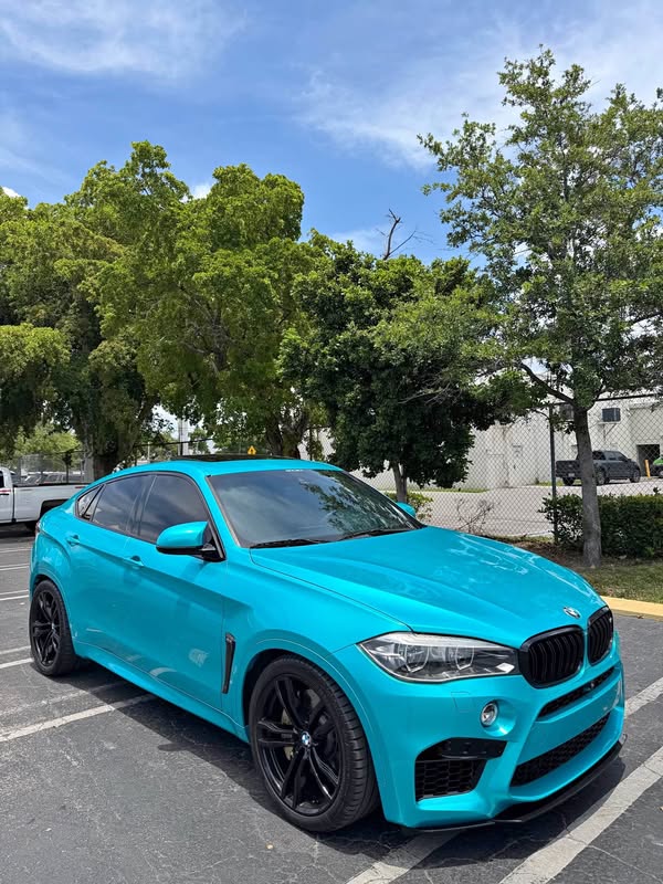 2017 BMW X6 - X6 M