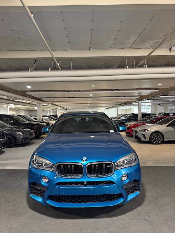 2018 BMW X6 - X6 M