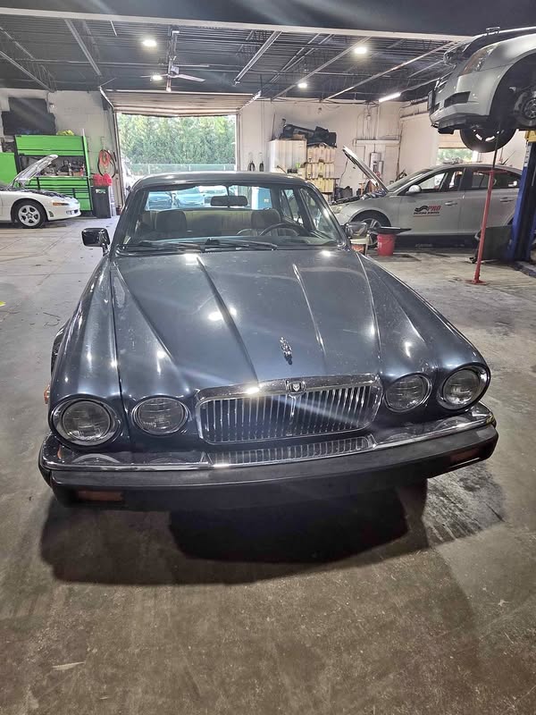 1985 Jaguar XJ - XJ6 Sedan 4D