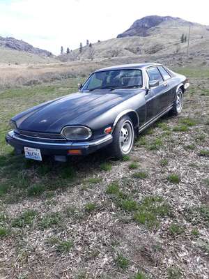 1986 Jaguar xjs. v12