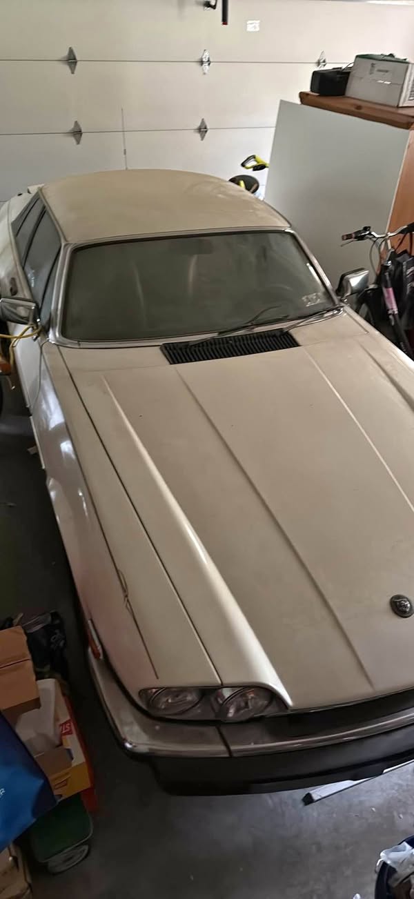 1982 Jaguar XJS-HE