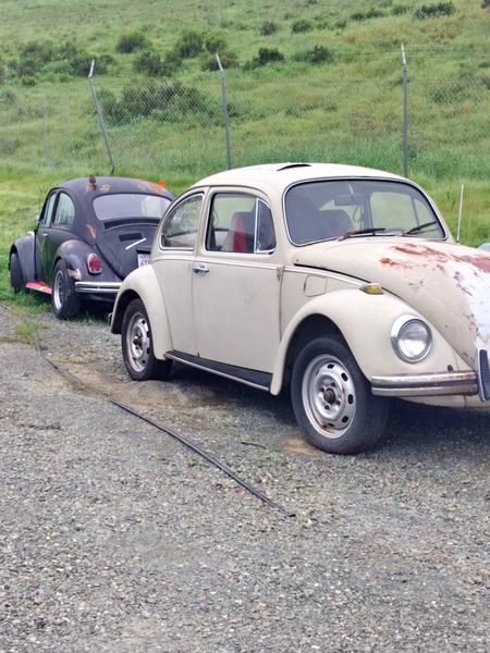 Volkswagen Beetle (1958-1979)