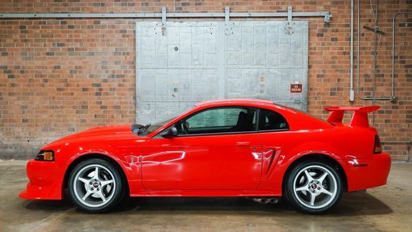 Ford Mustang SN95/New Edge Cobra